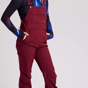 Burton Ski Snow Pants in Mulled Berry